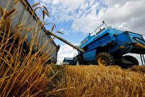 Ukraine Harvests over 70 Million Tons of Crops