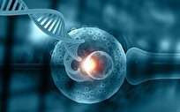 Scientists Identify Causes of Unexplained Male Infertility
