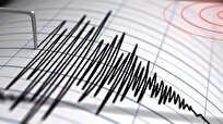 Earthquakes Deform Gravity: New Algorithm Could Enable Early Warning Systems