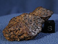 Scientists Discover Vast Diversity of Organic Compounds in Martian Meteorite