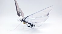 Fairy-Like Robot Flies by Power of Wind, Light