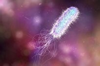 Silver Nanoparticles Show Promise in Fighting Antibiotic-Resistant Bacteria