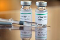 Scientists Start Clinical Trial of Iran’s First mRNA-Based Covid-19 Vaccine
