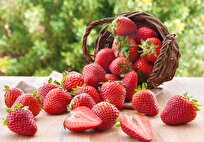Are Your Strawberries Not Tasting As Good? Pesticides May Be Responsible