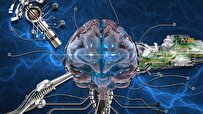 Will Future Computers Run on Human Brain Cells?