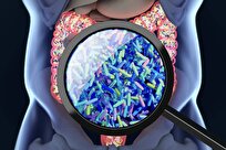 How Gut Creates Cozy Home for Beneficial Microbiome Species