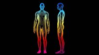 Iranian Experts Produce 3D Body Scanner