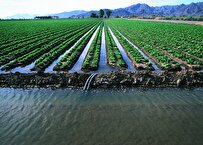 Official: Iranian Experts Find Way to Use Brackish Water of Agricultural Drains