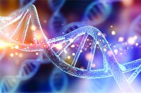 DNA Repair Discovery Could Improve Biotechnology