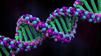 Scientists Create 1st Complete, Gapless Sequence of Human Genome