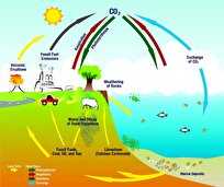 Viruses Could Reshuffle Carbon Cycle in Warming World