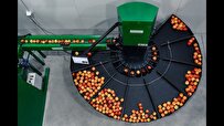 Iran-Made Smart Machine Separates Sound Agricultural Products from Bad Fruit