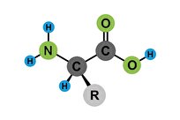 New Study Provides Novel Insights into Cosmic Evolution of Amino Acids