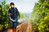 Iranian Company Makes Non-Chemical Pesticides