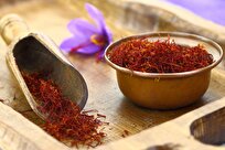 Iran-Made Herbal Tablet Containing Saffron’s Crocin Treats Depression