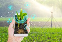 AI Helps Iranian Researchers to Optimize Agricultural Water Consumption