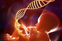 Royan Institute Confirms Feasibility of Birth Plan with 3 Parents in Iran