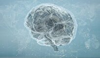 AI Can Decode Speech from Brain Activity with Surprising Accuracy