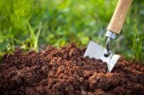 Iranian Researchers Stabilize, Strengthen Soil with Nano Particles