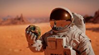 Researchers Provide New Insights into Early Biological Evolution on Mars