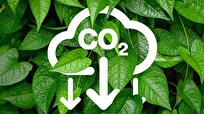 New Study Finds Relationship between CO2, Temperature at Landscape Level