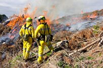 New Zealand Study to Protect Communities from Wildfires