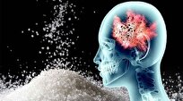 Sugar in Brain May Increase Antifungal Drug Tolerance