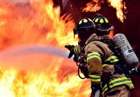 Iranian Researchers Produce Coating to Prevent Spread of Fire