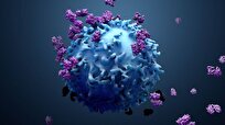 Scientists Identify 5 Key Factors to Predict Cancer Immunotherapy Success