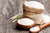 Iran-Made System Determines Amount of Gluten in Flour, Wheat