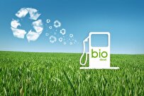 Indonesia to Speed Up Energy Transition with Updated Biodiesel Plan