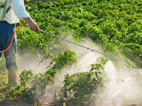 Scientists Gain New Progress in Original Innovation of Green Pesticides