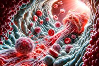 Breakthrough in Preventing Cancer’s Spread