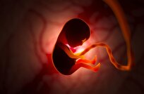 Researchers Discover How to Delay Human Embryo Growth