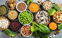 Plant-Based Proteins Can Lead to Longer Life