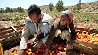 Ethiopia Anticipates 8.4 Percent Economic Growth for Current Fiscal Year