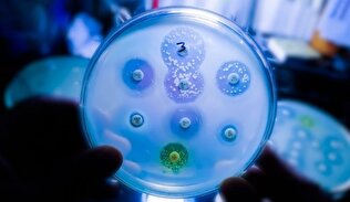 Researchers Discover Important Step in Fight against Antibiotic-Resistant Bacteria