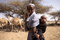 WFP Raises Alarm over Food Security, Nutrition Situation in Eastern Africa