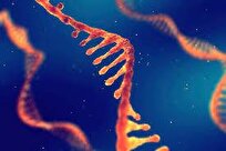 Scientists Uncover Secret Power of RNA