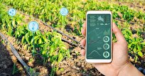 Smart Irrigation Management System Increases Productivity of Agricultural Products