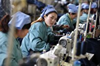 Over 218,500 Newly-Established Firms Resume Operations in Vietnam in 11 Months