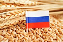 russia-to-export-55-60-million-tons-of-grain-in-current-season