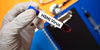 Single Mutation in H5N1 Influenza Surface Protein Enables Easier Human Infection