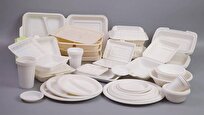 Iranian Firm Produces Eco-Friendly Starch-Based Disposable Containers