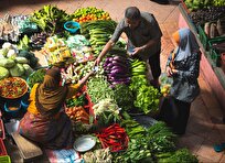 FAO: Global Food Prices Rise 0.5 Percent in November