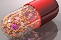 Iranian Scientists Use Nanotechnology to Treat Cancer