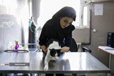 Veterinary Hospital in Northern Tehran