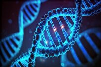 Iranian Scientists Make IG_Gene Card for Safe Storage, Transportation of DNA Samples