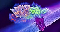 groundbreaking-imaging-technique-reveals-promising-new-drug-targets