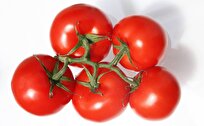 scientists-find-new-method-to-sweeten-tomatoes